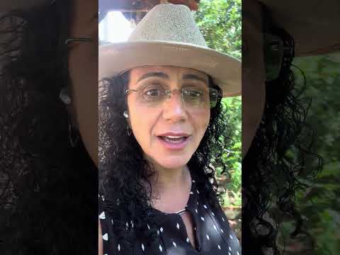 Olhos D’água Restaurante e Cantina in Olhos D’água, Alexânia, GO, Brasil 🇧🇷