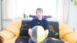 ビーチボールを使って傘回しの練習をする　I practice umbrella spinning using a beach ball.