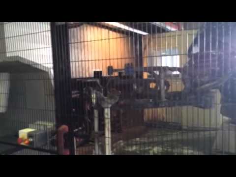 Forging axle housings at Meritor's Cameri Plant near Milan