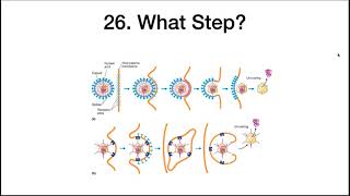 Viral examples, viroids, and prions