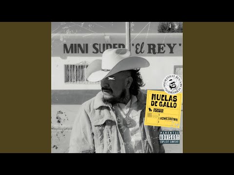 Animales De Costumbres