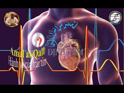 ĐỊNH TÂM VÀ HÀNH VI TRÁI TIM_NIYYAH WA AMAL AL QALB