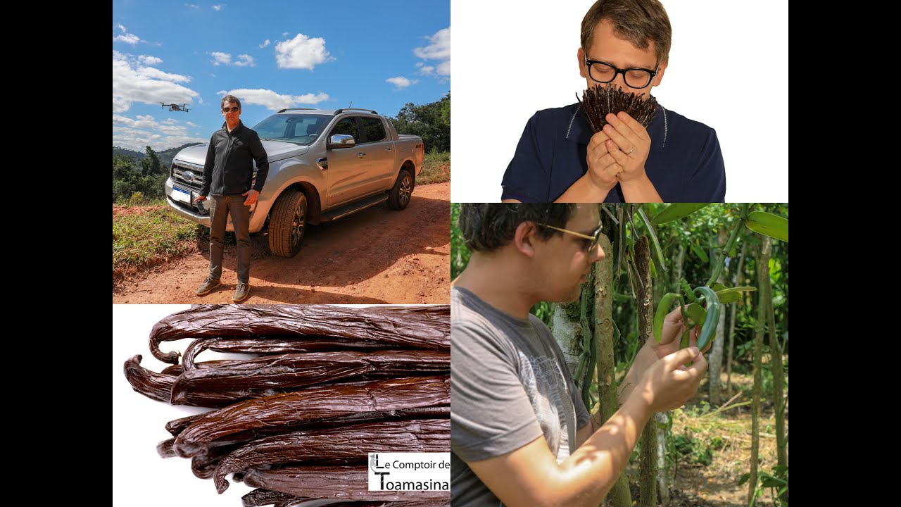 Quelle est la meilleure vanille du monde - Acheter vos gousses de vanille au Comptoir de Toamasina