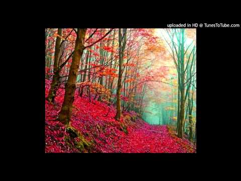 Lawrence Page - More than a woman