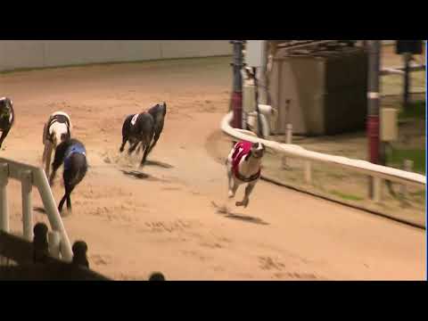 2020 CORAL CHAMPION STAKES FINAL - T2 SMALLMEAD