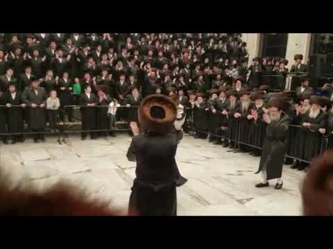 Pupa Rebbe Dancing @ Hachnosas Sefer Torah