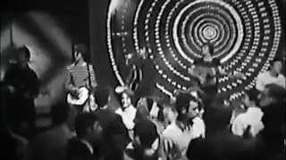 Fountains of Wayne - Bus Stop (Rare Hollies Cover)