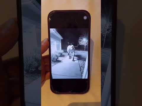 WHO'S ENTERING? 😰 *epic ending*