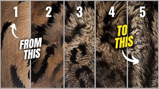 How to Paint Realistic Fur | My Simple 5 Step Process