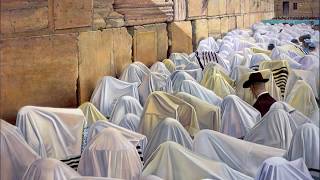 She Hashalom Shelo - Martin Meir Widerker | שהשלום שלו - אברימי רוט - מרטין מאיר וידרקר