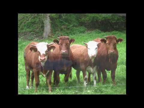 05-2013 BaWü Hotzenwald Eröffnungstour