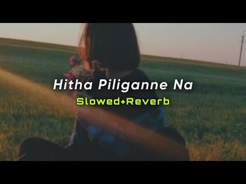 Hitha Piliganne Na (Slowed+Reverb) | Theekshana Anuradha | SlowMo_LK