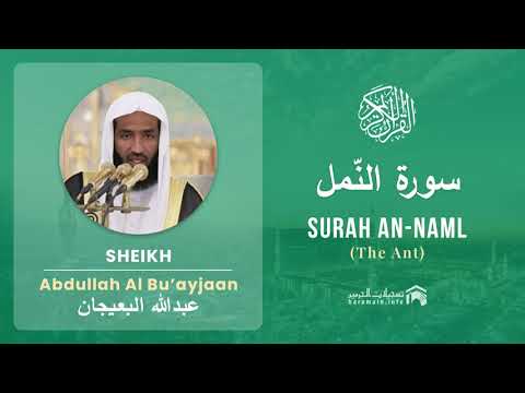 Quran 27   Surah An Naml سورة النّمل   Sheikh Abdullah Bu'ayjaan - With English Translation