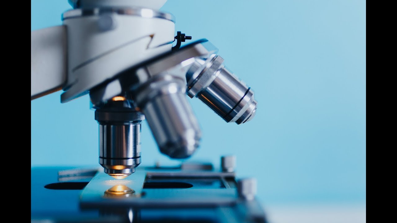 Microbiology Lab Final Review