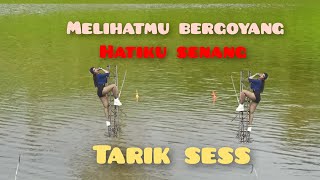 Download lagu Mancing ambyar  Channel @mancing ambyar terbaru 2021 mp3