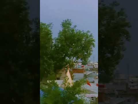 #viralvideo #morning #motivation #ram #gadarwara #viralshorts #likeforlikes #like #comment #panchi