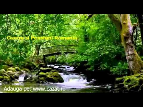 Cazare Topliceni, Buzau - Cazat.ro