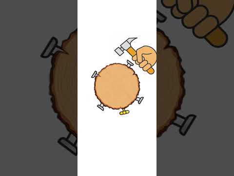 Stump Master video thumbnail