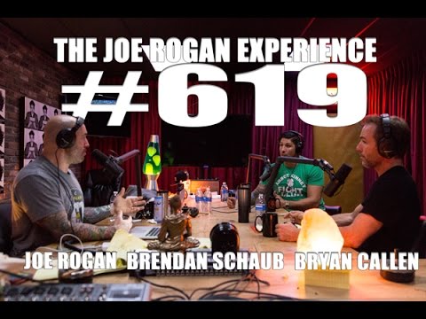 Joe Rogan Experience #619 - Bryan Callen & Brendan Schaub