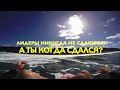 Волшебный пендель.Александр Матиевич 