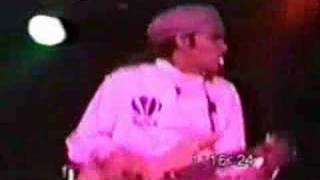 No Doubt  -  Trapped in a Box  (Spankys Cafe)