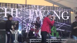 THE TWANG@THE BIG BORO FESTIVAL,"TOOK THE FUN"