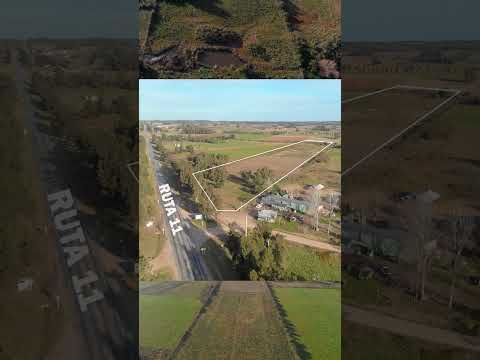 VENTA CAMPO 6 HECTAREAS EN CANELONES, URUGUAY #argentina#campo#instagram#investing#sale#oportunidad