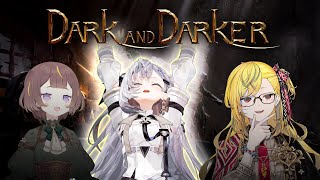 【Dark & Darker】me troll