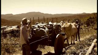 COUNTRY ROMANTICO - VERSÃO - LAERTT FILHO