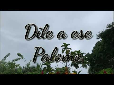 Dile a ese Palomo / AmauryVMA [ Oficial Video]