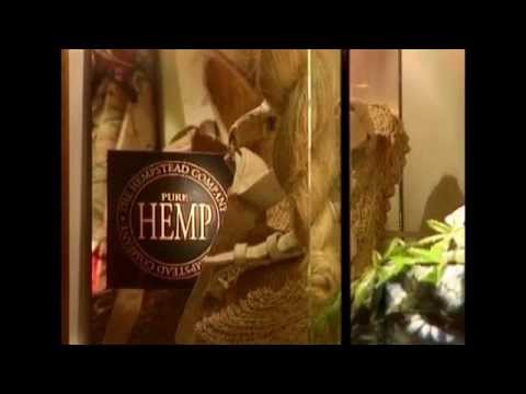 sensi seeds video