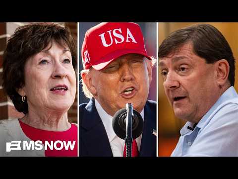 Would take 'tremendous feat' of Collins distancing herself from Trump to win: NYT reporter