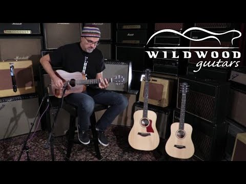 Taylor Guitars Baby Taylor Series  •  Wildwood Guitars