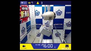 オンラインクレーンゲームhololive『沙花叉クロヱ』フィギュア#OnlineCraneGame#hololive#沙花叉クロヱ#figure