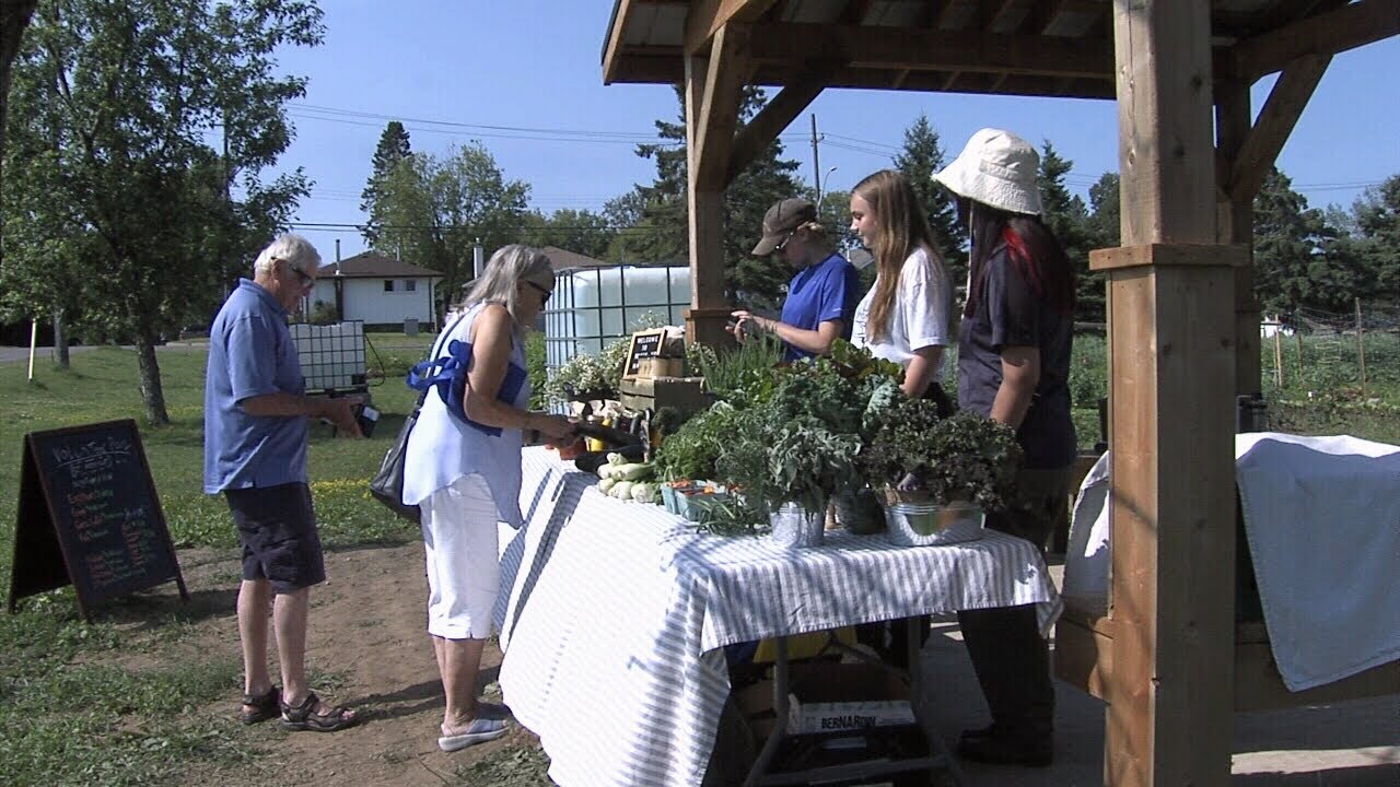 Roots Community Food Centre selling fresh produce at garden markets