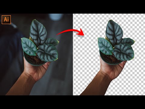 Abstract Gradient Style Background Design in Adobe Illustrator CC