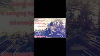 Rina nose, I swear I love you