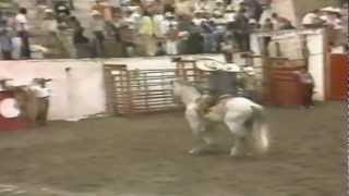 Pepe Aguilar (joven) &quot;Mi Amigo El Tordillo&quot; A. A el Charro de México Pt-5 (Rose Vídeo)