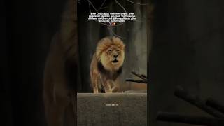 Download lagu Motivational status tamil | [Life motivational status tamil] #shorts mp3