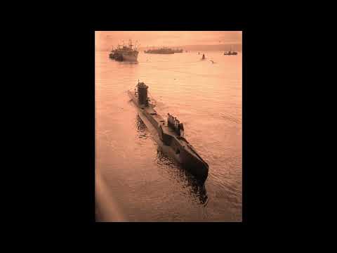 How One Submariner's "Illegal" Torpedo Fix Finally Made America's Mark 14s Actually Work.