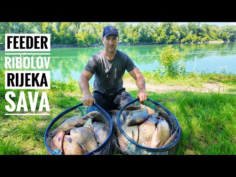 Feeder pecanje na rijeci Savi ribolov deverike