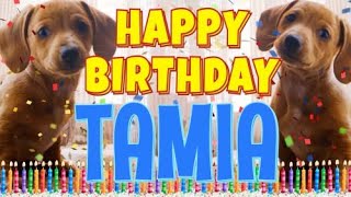 Happy Birthday Tamia! ( Funny Talking Dogs ) What Is Free On My Birthday