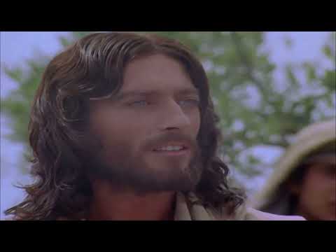 Parábola de las aves y los lirios  JESUS DE NAZARETH