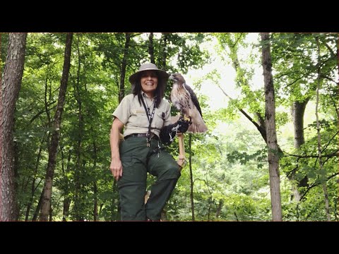 Careers in Conservation - Raptor Rescue