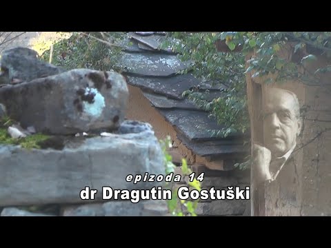 Mozaik Ćilimgrada - dr Dragutin Gostuški