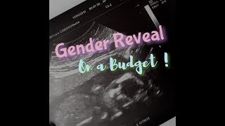 How To Throw A Gender Reveal Party- On A Budget