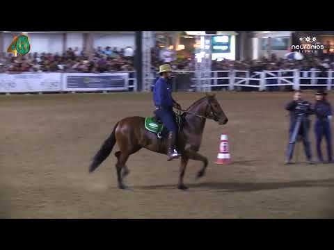 Revolta Tandy, Campeã Nacional de Marcha 2023