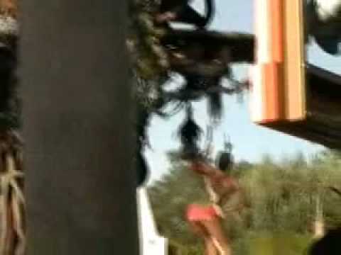 Disneyland's Parade of Dreams Lion King Stop