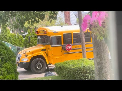 First Student School Bus 2399 - 2019 Bluebird Vision (Cummins ISB) (6/20/23)
