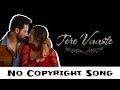 Tere Vaaste NoCopyrightSongs No Copyright Status Songs Bollywood Remix Song